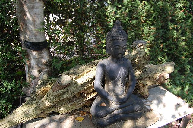 Boeddha